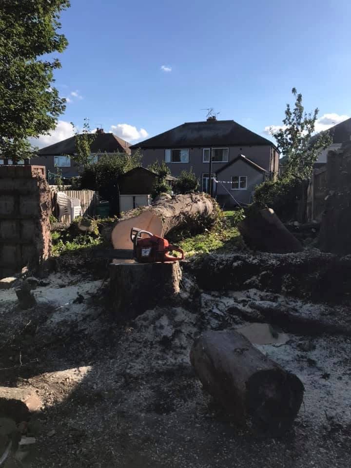 Tree Removal · Prestatyn